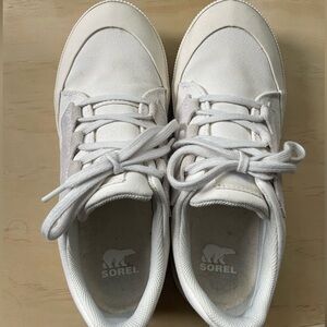 Sorel Women's Out N About III Low Sneaker in Sea Salt